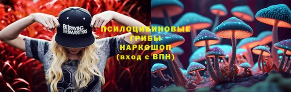2c-b Карпинск