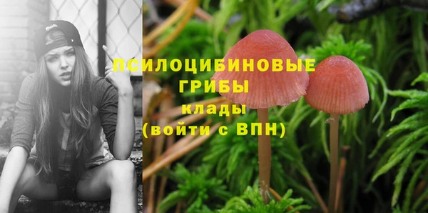 2c-b Карпинск