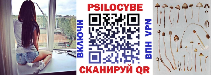 Псилоцибиновые грибы прущие грибы  Купить закладки  Смоленск 